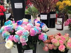 -荷兰花海