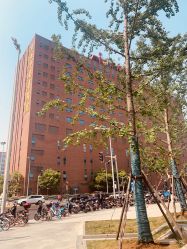 -上海市儿童医院(泸定路院区)