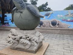 -广东惠东海龟国家级自然保护区