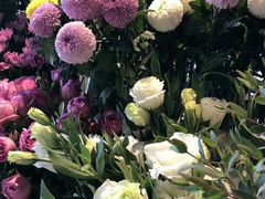 -龍歌自助小火锅(城阳万象汇店)