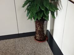 -肘子酥·天津菜·特色捞面(德云社店)