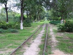 -永定河休闲森林公园