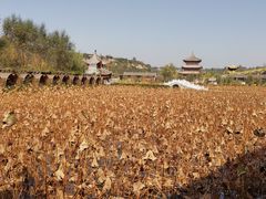 -渭南桃花源民俗文化园