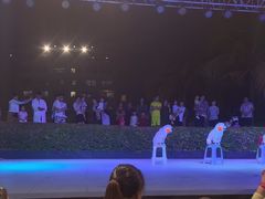 -渔家火锅·海鲜自助餐·演艺(亚龙湾天域酒店)