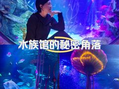 -沈阳海洋探索中心