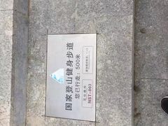 -五龙城郊森林公园