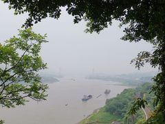 -大渡口区义渡公园
