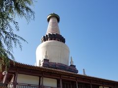 -张掖大佛寺景区