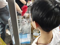 -吴山路夜市