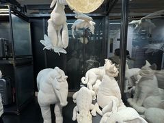 -陕西自然博物馆