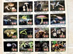 -草墩罗非鱼庄•野生菌•腊排骨(七星街上段店)