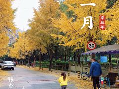 -沙河三洞古桥公园