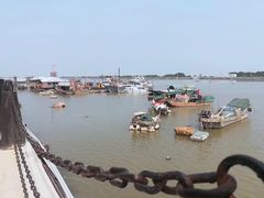 -大湾区中央湿地公园-十九涌