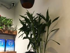 -梁子刨冰王(鞍山西道店)