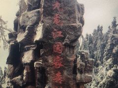 -九龙江国家森林公园