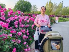 -妇贵宝月嫂育儿嫂(北京总部)