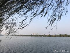 -鹤之洲湿地公园