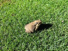 -三亚鹿回头高尔夫球会-停车场