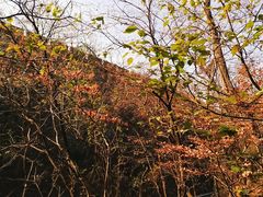 -紫金山索道-售票处