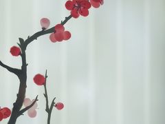 -在水伊方·影院式足道·保健·高端养生SPA(海椒市店)
