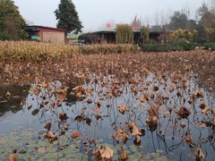 -三圣花乡旅游区