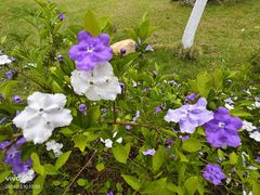 -广州神农草堂中医药博物馆