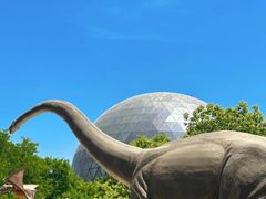 -陕西自然博物馆