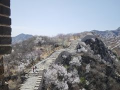 -龙泉峪长城