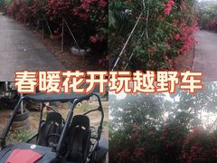 -天下先生态园农庄CS团建露营地(海鸥岛店)