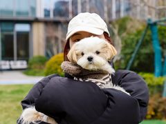 -上海杨思亦阁公寓