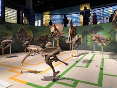 -国家自然博物馆