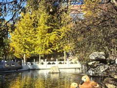 -北京市海淀外国语实验学校