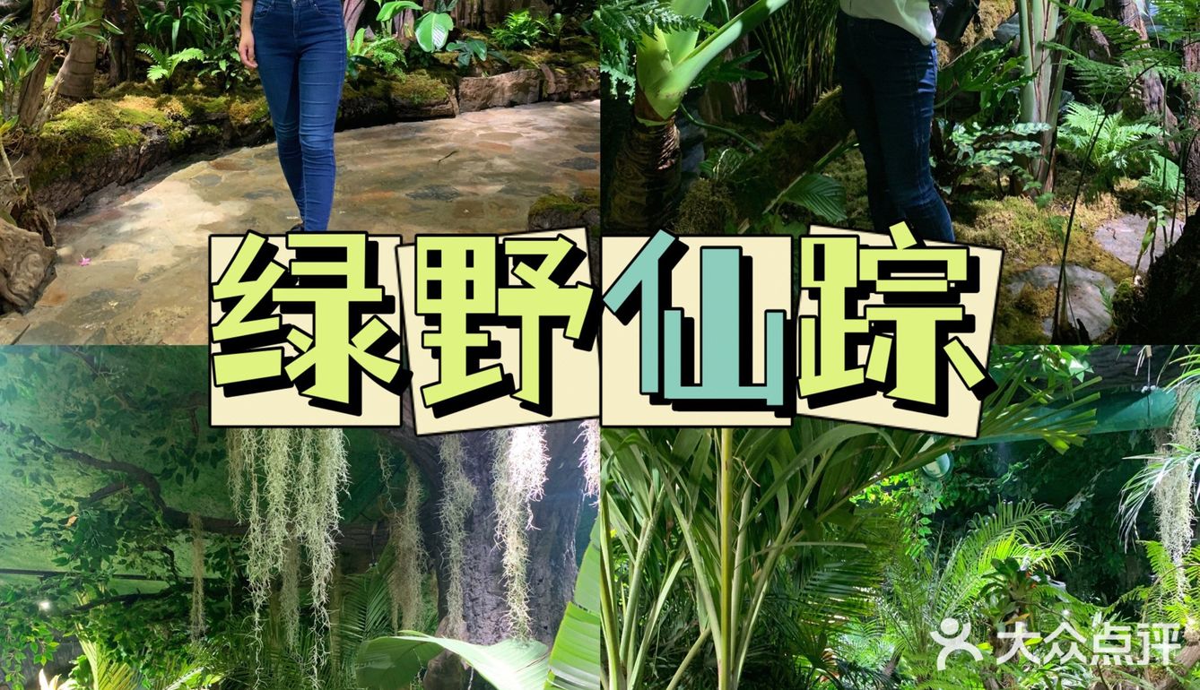 景区很自然，玩了一天在里面一分钱没花