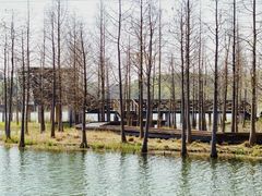 -昆山城市生态森林公园