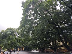 -桂林独秀峰王城景区
