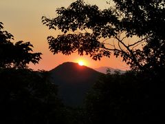 -黄埔油麻山森林公园