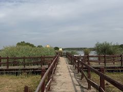 -西青郊野公园
