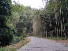 景点-常德桃花源景区