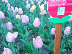 -长春公园(普阳街道)