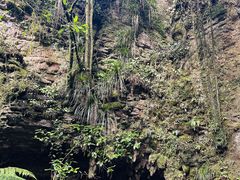 -怀托摩萤火虫洞