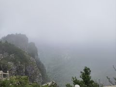 -牛背梁国家森林公园