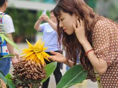 -国家植物园南园