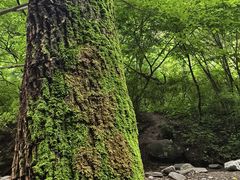 -龙门涧景区
