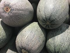 哈密瓜-鲜力达果品批发直销(汇金店)