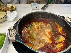 -青青河边草·小小河边鱼(万达广场太仓店)