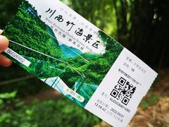 -川西竹海景区