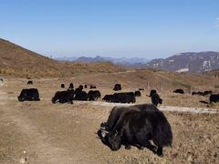 -灵山