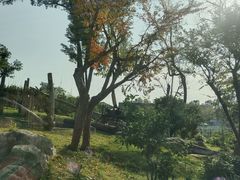 -武汉动物园