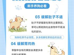 -lincat·猫舍(广州店)