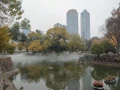 -西北湖绿化广场